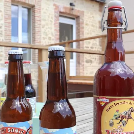 Maison Familiale Au Coeur Du Village Avec Jardin Clos Et Terrasse - Fr-1-497-252 * Le Mêle-sur-Sarthe