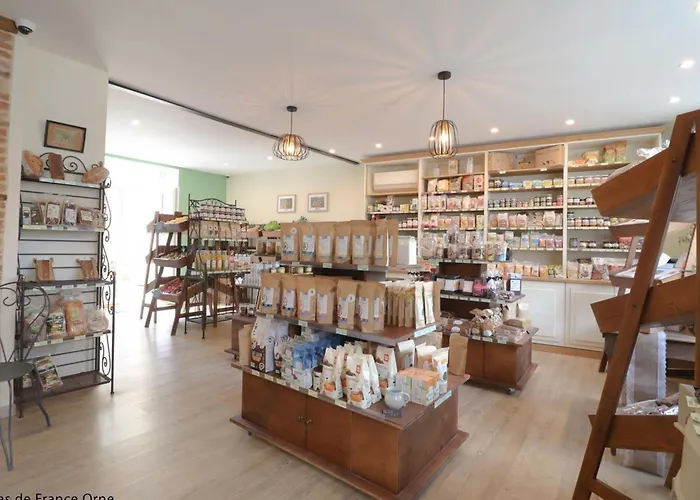 Maison Familiale Au Coeur Du Village Avec Jardin Clos Et Terrasse - Fr-1-497-252 Le Mêle-sur-Sarthe